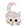 Watercolor kitten