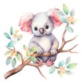 watercolor koala on a branch with delicate flowers isolated on white Royalty Free Stock Photo