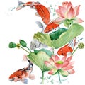 Watercolor koi carp and lotus flower. watercolor fish background illustration Royalty Free Stock Photo