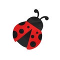 Watercolor ladybug cute simple clipart illustration