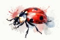 Watercolor ladybug illustration on white background