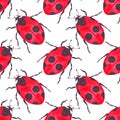 Watercolor ladybug seamless pattern on white background