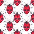 Watercolor ladybug seamless pattern on white background regular simple