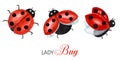 Watercolor ladybug set, flying bright cartoon insects. Funny red ladybird in flight. Isolated on white background Royalty Free Stock Photo