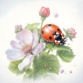 Watercolor ladybug Animal Illustration Isolated on White Background