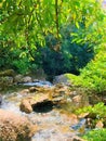 Watercolor of landscape background