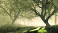 Watercolor landscape of dark mystical night forest