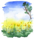 Watercolor landscape of a field with dandelions, sky, meadow, green grass, tree Royalty Free Stock Photo