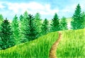 Watercolor landscape, hand drawn illustration. Spring or summer season. Blue skies, green grass and forest with fir Royalty Free Stock Photo