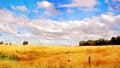 Watercolor landscape of a hayfield in summer under a cloudy sky Royalty Free Stock Photo