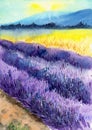 Watercolor landscape illustration with purple lavender field Royalty Free Stock Photo