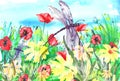 Watercolor landscape with the image of wild grasses, flowers, green plants, Red poppy, calendula, fields. Against the background o Royalty Free Stock Photo