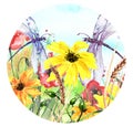 Watercolor landscape with the image of wild grasses, flowers, green plants, Red poppy, calendula, fields. Against the background o Royalty Free Stock Photo