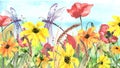 Watercolor landscape with the image of wild grasses, flowers, green plants, Red poppy, calendula, fields. Against the background o Royalty Free Stock Photo