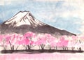 Watercolor landscape Mount Fuji and cherry blossoms Royalty Free Stock Photo