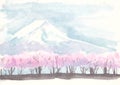 Watercolor landscape Mount Fuji and cherry blossoms Royalty Free Stock Photo