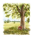 Watercolor landscape with oak tree on meadow grass and vintage red bag Royalty Free Stock Photo