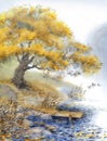 Watercolor landscape. An old tree near the pond