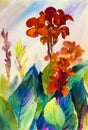 Watercolor landscape original painting colorful of canna lily flower Royalty Free Stock Photo