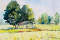 Watercolor landscape original painting colorful of cottage and rice field.