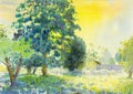 Watercolor landscape original painting colorful of garden and em