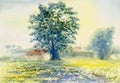 Watercolor landscape original painting colorful of morning sun Royalty Free Stock Photo