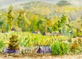 Watercolor landscape original painting colorful of mountain and village hill.