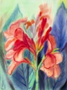 Watercolor landscape painting colorful of canna lily flowers Royalty Free Stock Photo