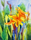 Watercolor landscape paintings original colorful of Canna Lily Royalty Free Stock Photo