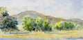 Watercolor landscape paintings panorama colorful of farm garden tree