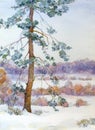 Watercolor landscape. Pine tree in the winter steppe