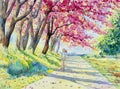 Watercolor landscape pink red color of Wild himalayan cherry