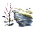 Watercolor landscape Primary flowers, blossoming spring trees, stream, the first grass. illustration Royalty Free Stock Photo