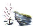 Watercolor landscape Primary flowers, blossoming spring trees, stream, the first grass. illustration Royalty Free Stock Photo