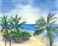 Watercolor landscape of tropical beach and palms Royalty Free Stock Photo