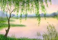 Watercolor landscape. Young willow branches bent over the evening pond Royalty Free Stock Photo