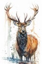 Watercolor of Large Deer Buck . AI generated Illustration