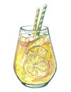Large glass mug jar of cold lemonade with lemon and mint two tubes on an isolated background