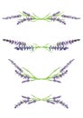 Watercolor lavender branches, design elements, illustration