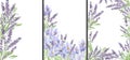 Watercolor lavender and crocus frame banner illustration. Hand painted vintage violet flowers stem isolated on white background.