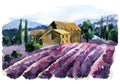 Watercolor lavender field landscape. Summer in Provence, France.