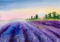 Watercolor lavender field on the sunset Royalty Free Stock Photo