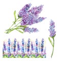 Watercolor lavender flower. Set of a bouquet, branches and frames made of lavender.