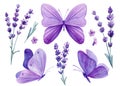 Watercolor butterflies and lavender flowers, floral design purple elements on isolated white background. Bouquet flowers Royalty Free Stock Photo