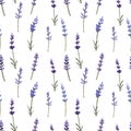 Watercolor lavender pattern seamless on white background