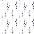 Watercolor lavender seamless pattern. Hand painted violet flowers, branch and leaves isolated on a white background