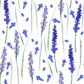 Watercolor lavender seamless