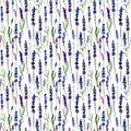 Watercolor Lavender seamless pattern on white background. Hand drawn, botanic design