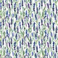 Watercolor Lavender seamless pattern on white background. Hand drawn, botanic design