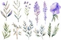Watercolor lavender set. Hand drawn vector illustration. Isolated on white background. Generative AI Royalty Free Stock Photo